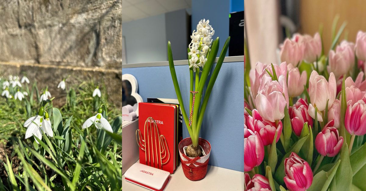 Spring challenge Adastra